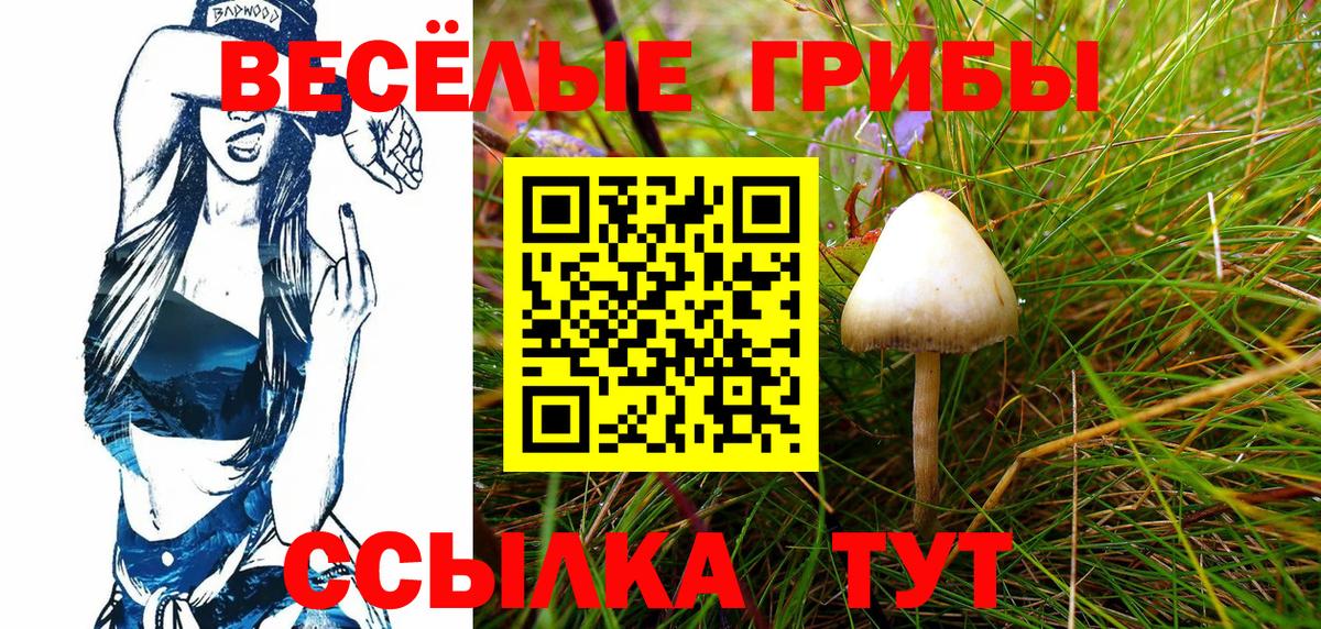закладки  Вход с VPN  Вязники  Галлюциногенные грибы Psilocybine cubensis 